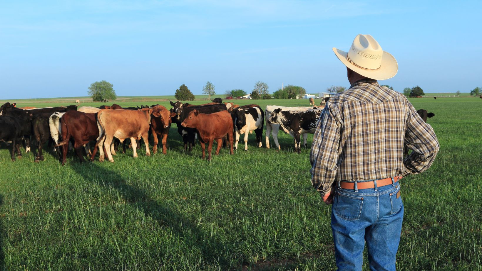 sustainable animal agriculture